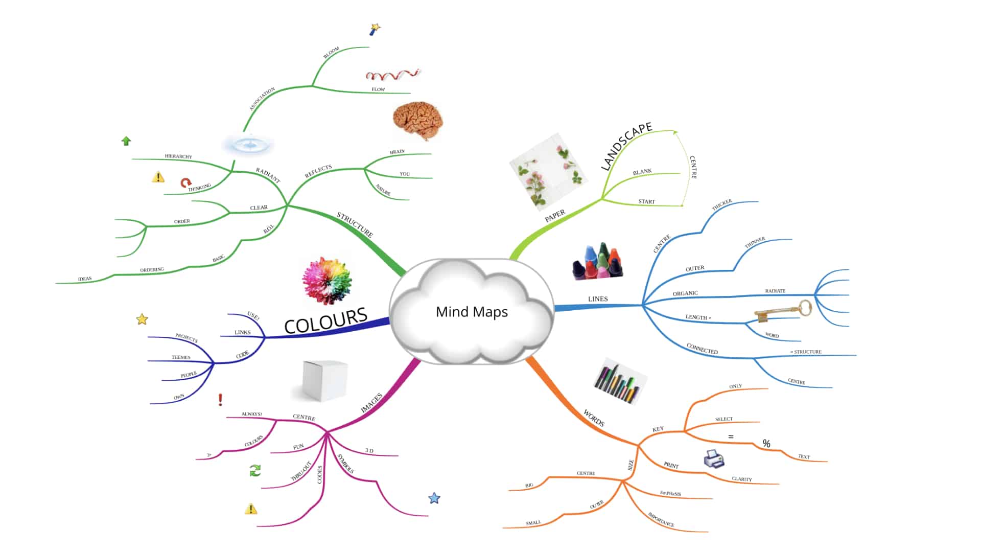 Ayoa | How to Mind Map